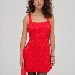 For love and lemons Frosted Organza Mini Dress